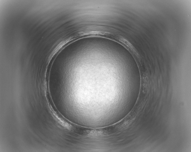 X0000054360890200508051526