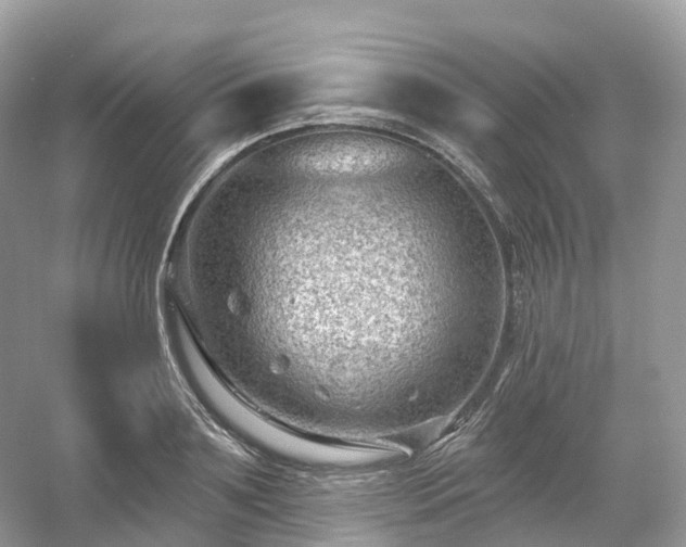 X0000054360891200508051526