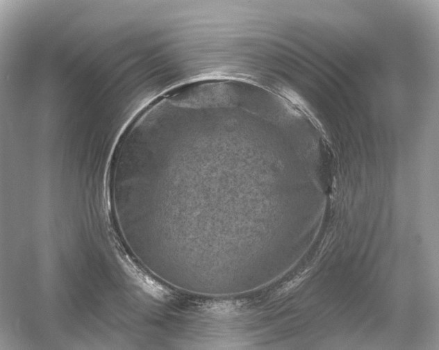 X0000054360892200508051526