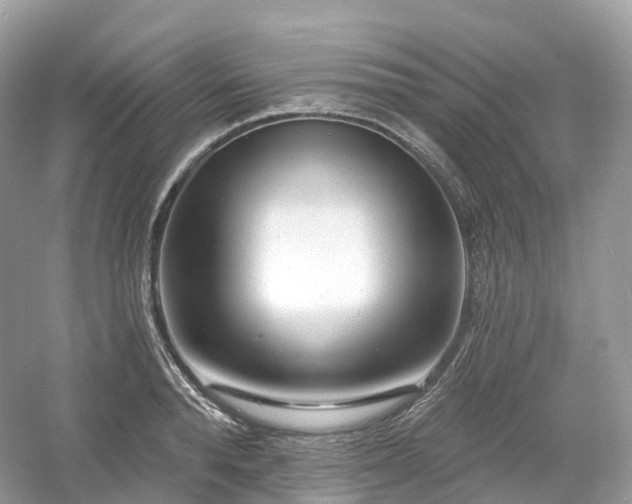 X0000054360896200508051526