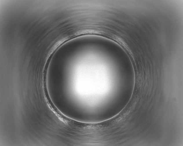 X0000054360898200508051526