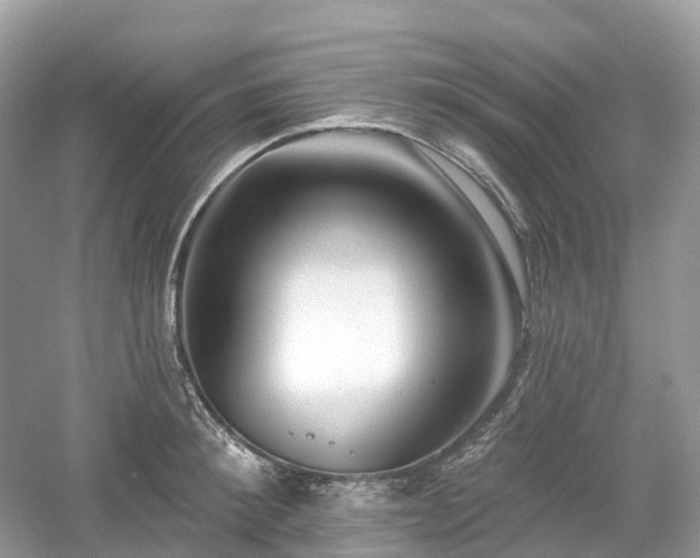 X0000054360900200508051526