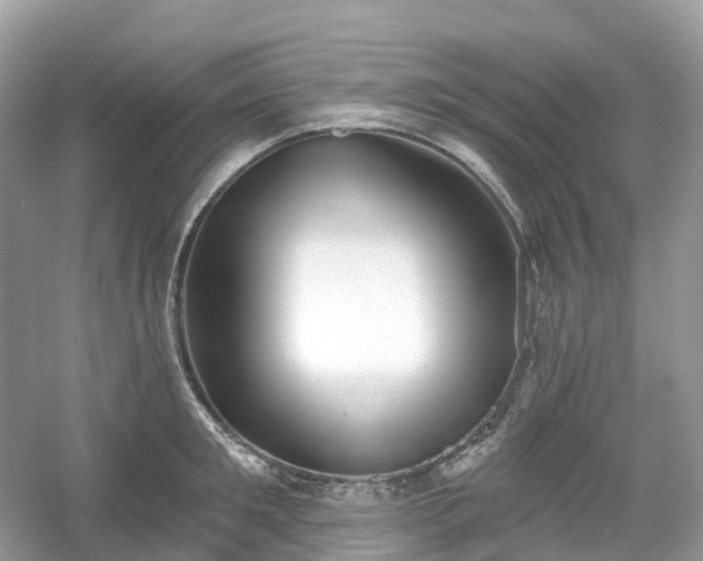 X0000054360901200508051526