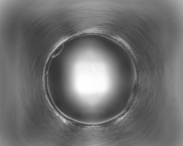 X0000054360902200508051526