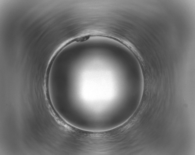 X0000054360904200508051526