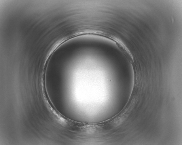 X0000054360906200508051526