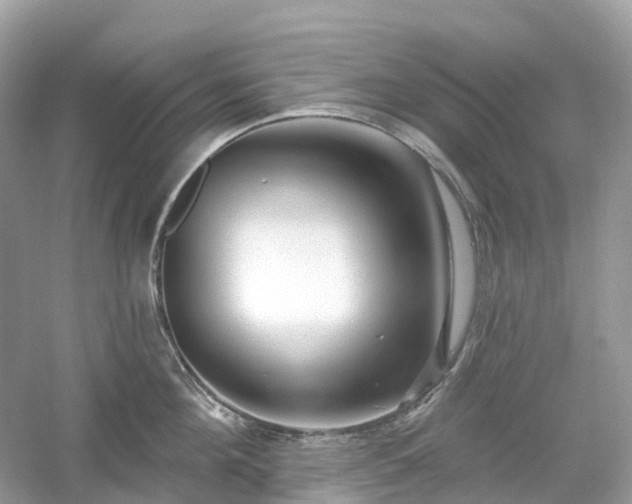 X0000054360908200508051526