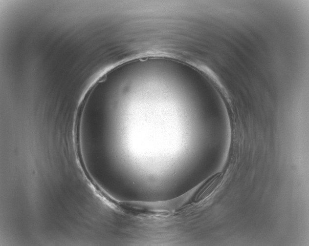 X0000054360910200508051526
