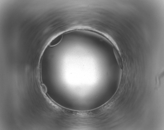 X0000054360911200508051526