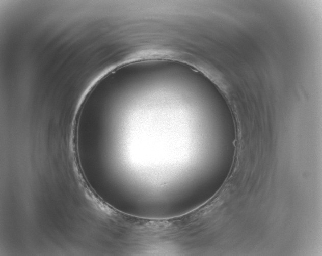 X0000054360912200508051526