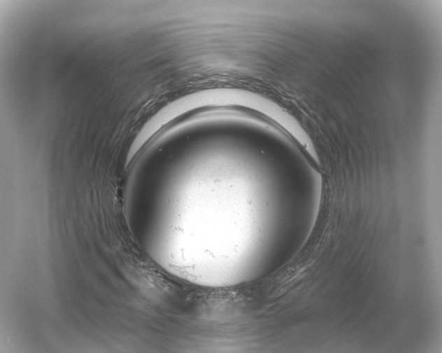 X0000054360916200508051525