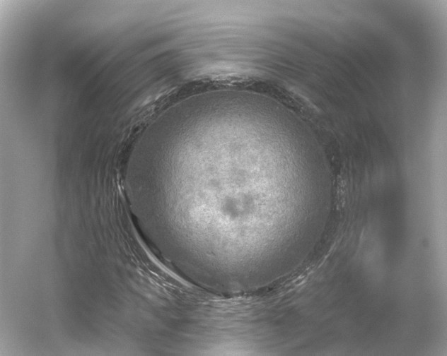 X0000054360917200508051525