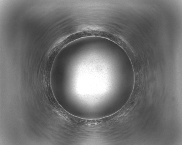 X0000054360919200508051525