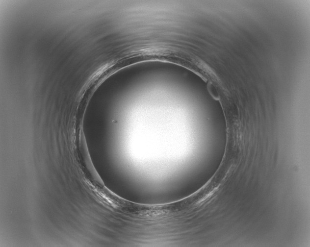 X0000054360930200508051525
