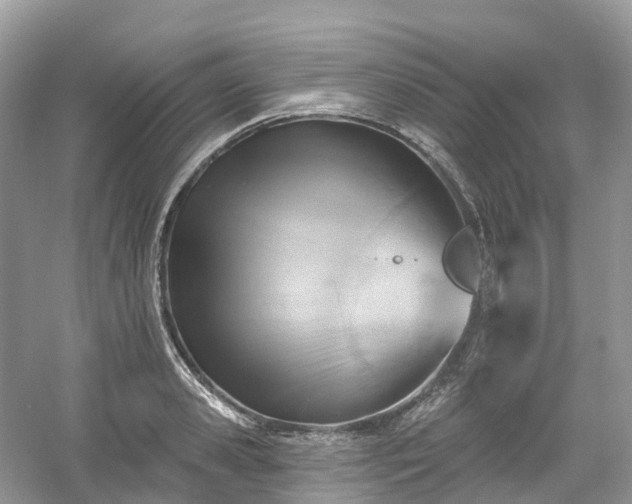 X0000054360941200508051525