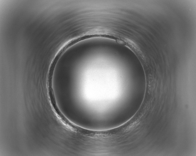X0000054360942200508051525