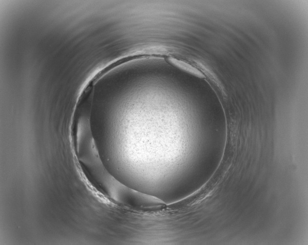 X0000054360944200508051525
