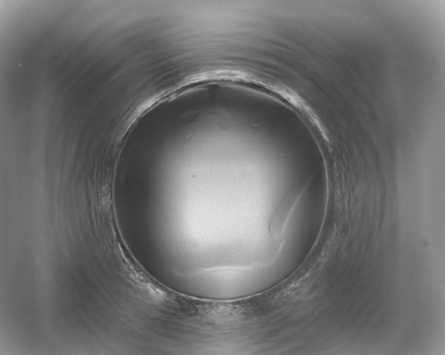 X0000054360945200508051525