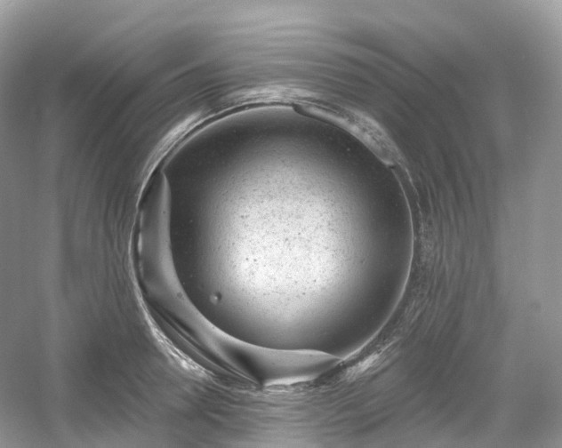 X0000054360946200508051525