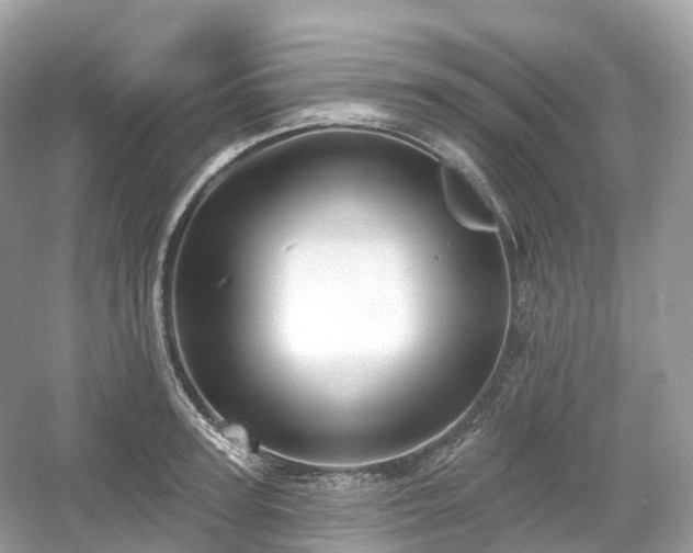 X0000054360947200508051525