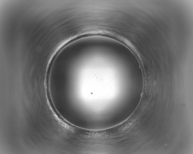 X0000054360951200508051525