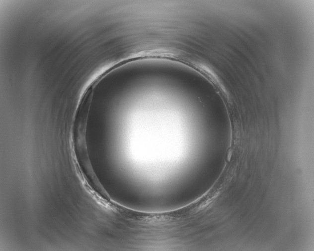 X0000054360952200508051525