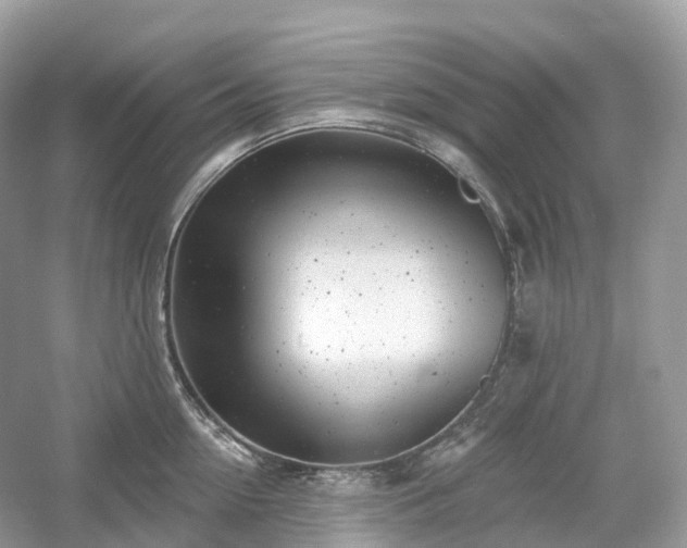 X0000054360954200508051526