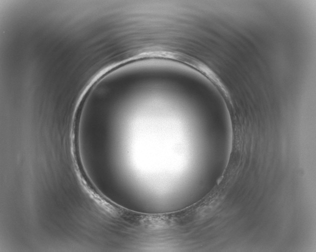 X0000054360955200508051526
