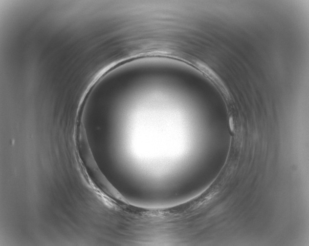 X0000054360956200508051526