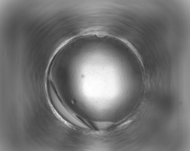 X0000054360957200508051526