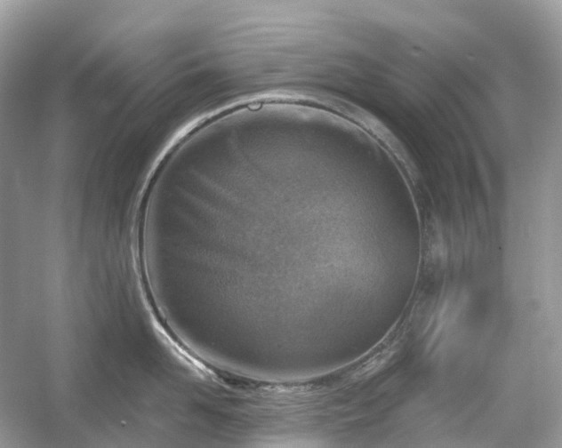 X0000054360958200508051526