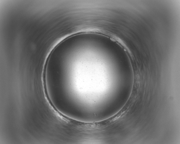 X0000054360959200508051526