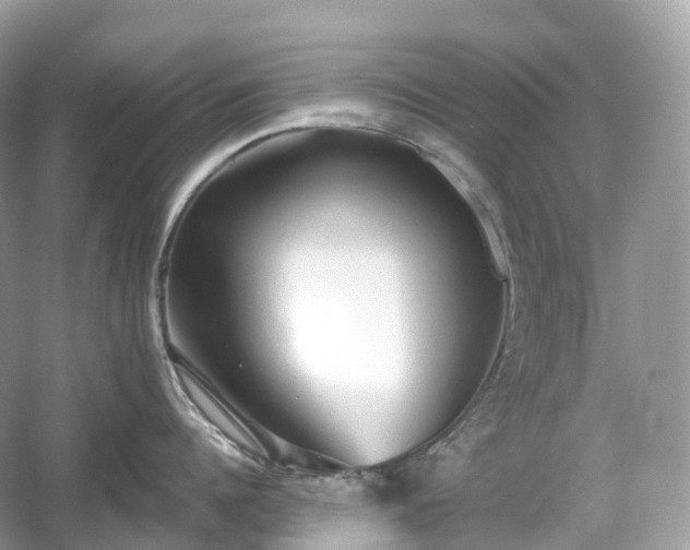 X0000054360960200508051526