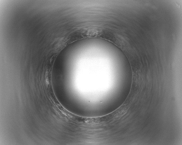 X0000054360962200508051525