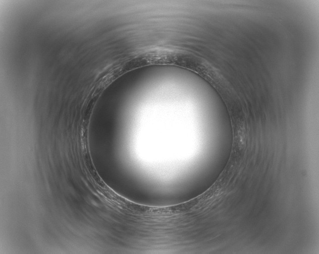 X0000054360964200508051525