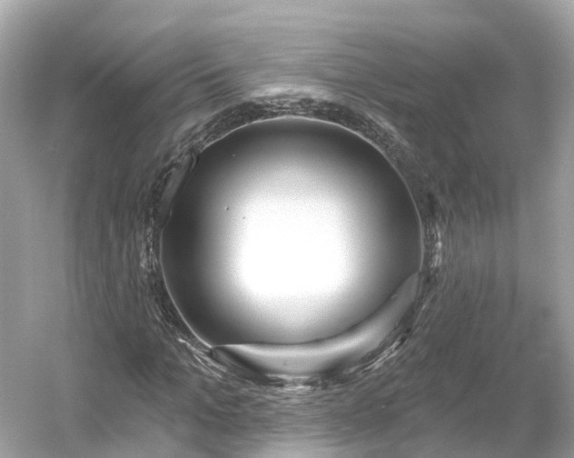 X0000054360965200508051525