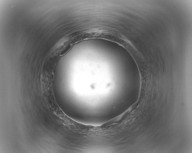 X0000054360967200508051525