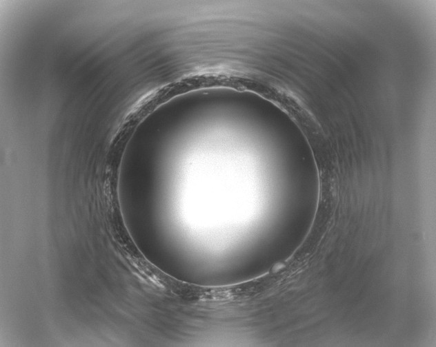 X0000054360968200508051525