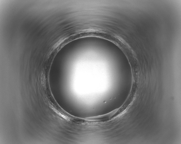 X0000054360969200508051525