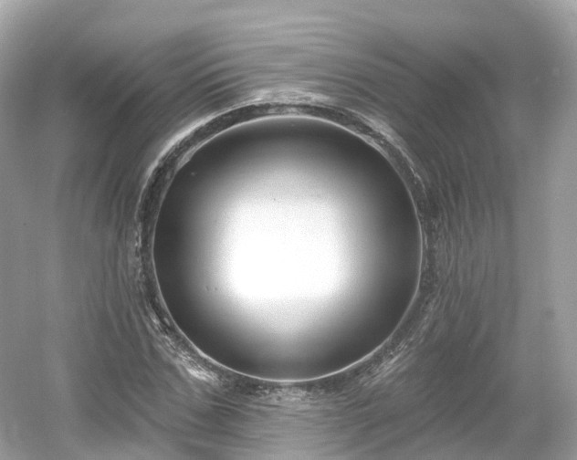 X0000054360971200508051525