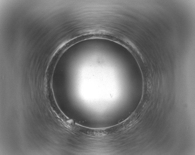 X0000054360975200508051525