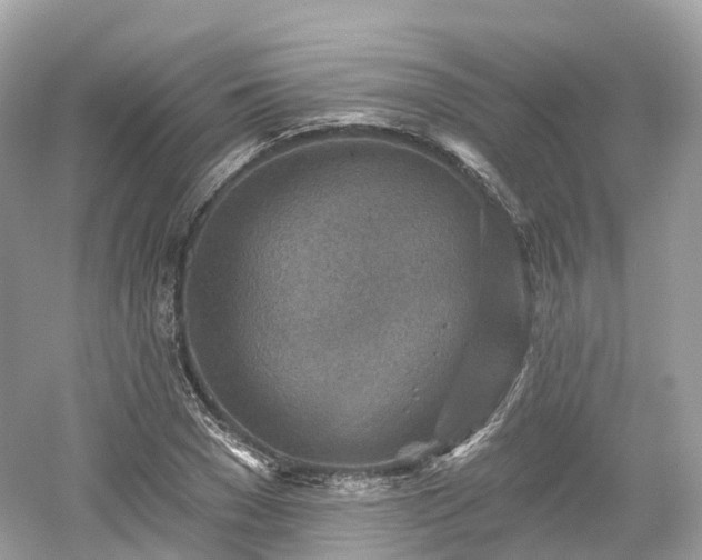 X0000054360977200508051525