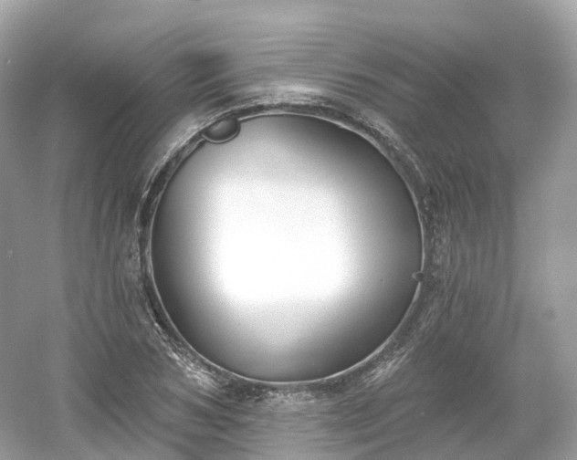 X0000054360978200508051525