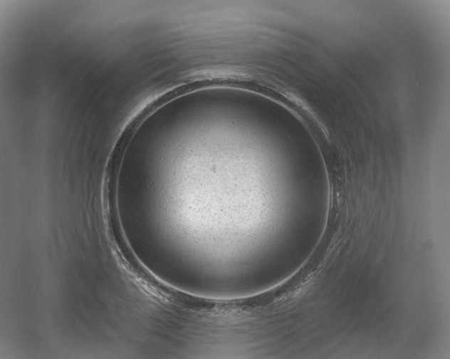 X0000054360983200508051524
