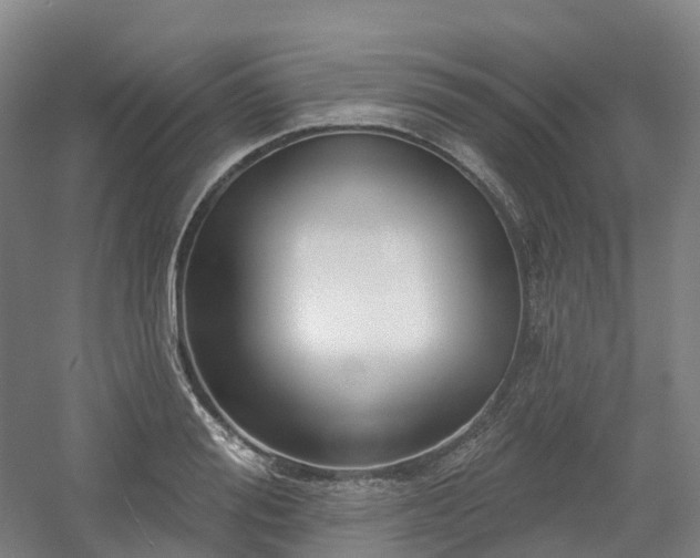 X0000054360988200508051524