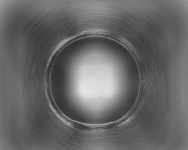 X0000054360989200508051524