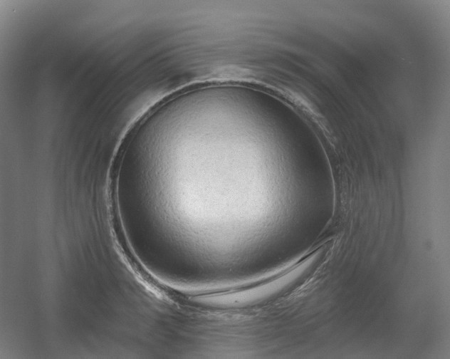 X0000054360990200508051524