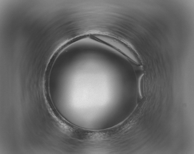 X0000054360991200508051524