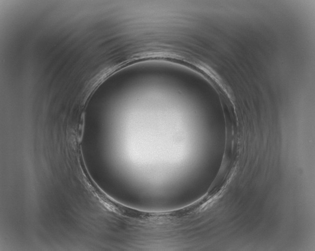 X0000054360993200508051524