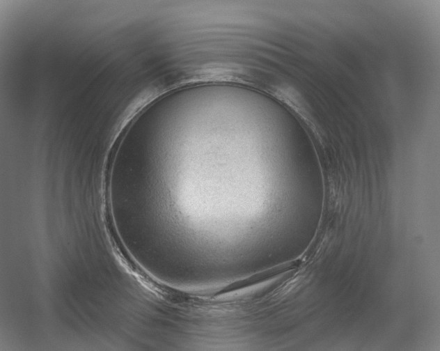 X0000054360994200508051524